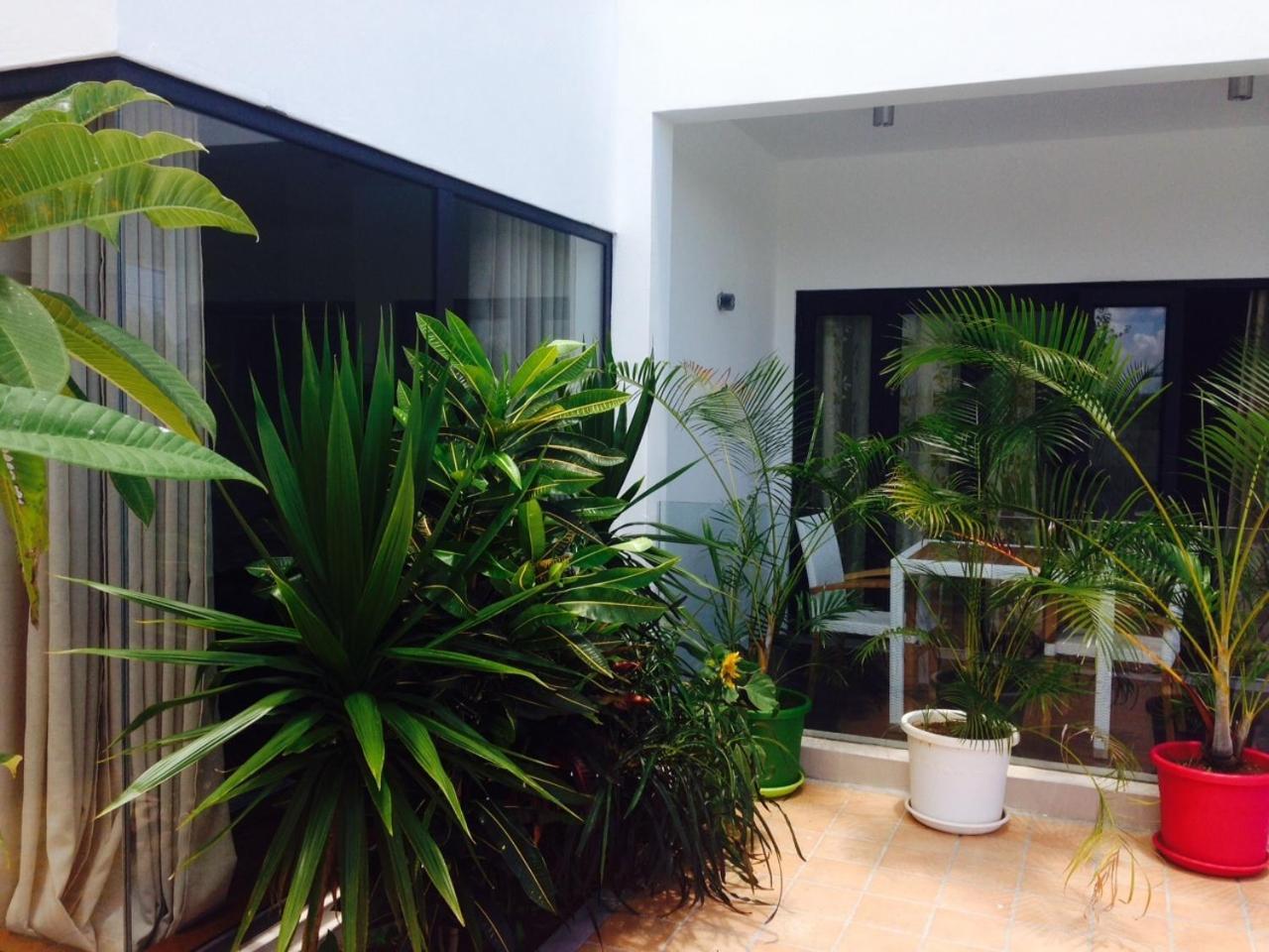 Apartamento Pingo Premium La Gaulette Habitación foto